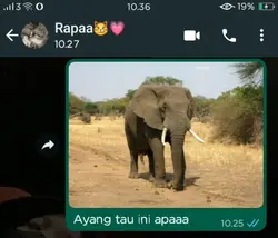 Ahahahaa itu jerapah