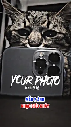 MẪU 2 ẢNH 
