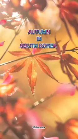 Auntum in Korea