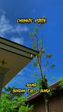 cinematic estetik