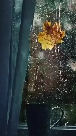 rainy day 