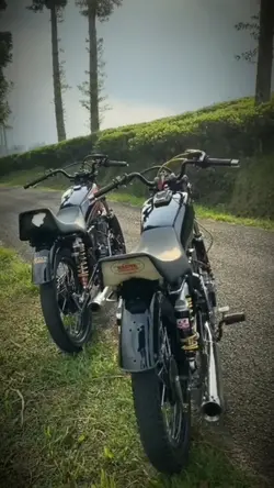 PAKE RX KING DONG?