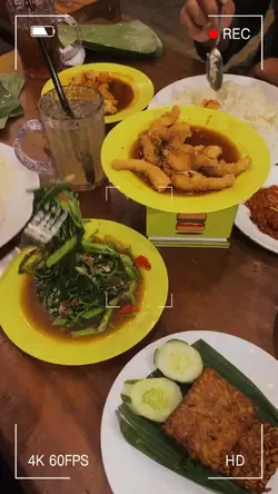 Healing Makan