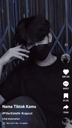 TIKTOK BANYAK LIKES