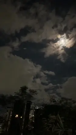 vibes