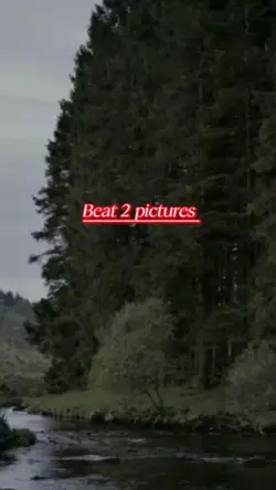 Beat 2 pictures 