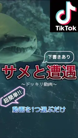 【ドッキリ】サメと遭遇動画！？Tiktokトレンド