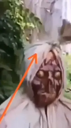 prank temen