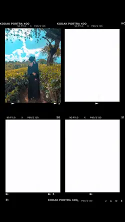 frame viral loading