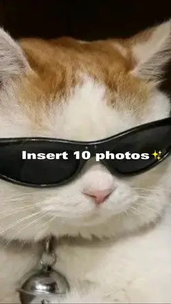 insert10photos