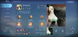 Ml
