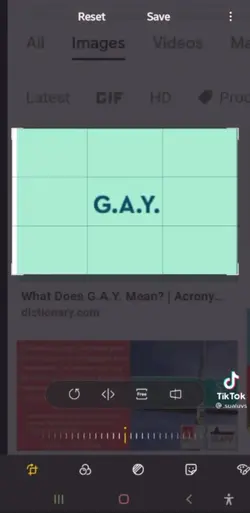 you gay