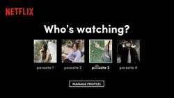Netflix template 
