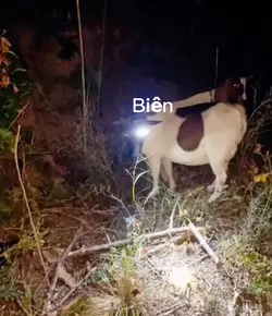 Mâu troll bạn bè 