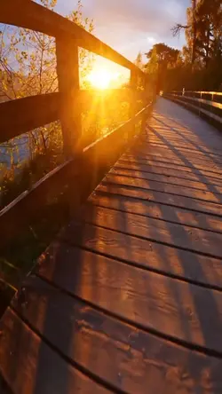 beautifulday