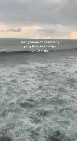 Story WA 
