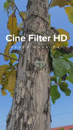 Cinematic HD