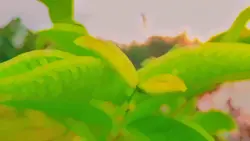 CINEMATIC HD X JJ