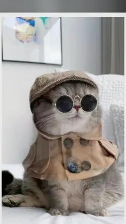 Meong
