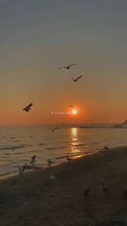 slowmotion
