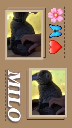:p