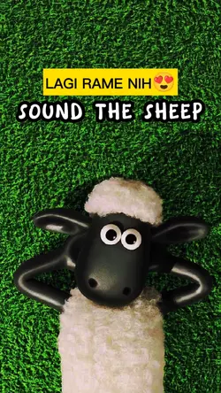 Ya sound the sheep