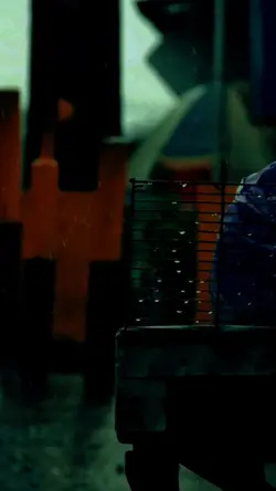 snowfall 