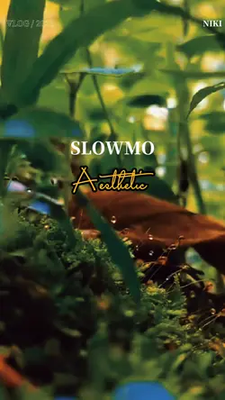 SLOWMO LUMUT ESTETIK