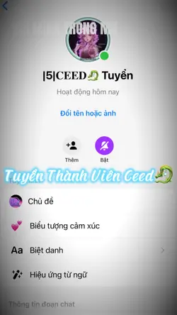 Ttv Ceed🐉
