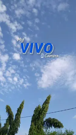 My VIVO Camera
