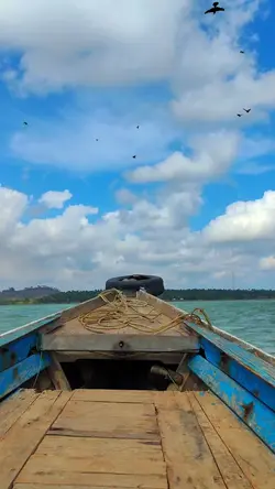 Burung Terbang