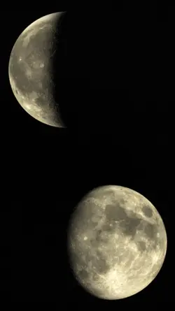 Moon Phase