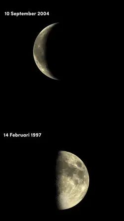 Moon Pharse Trend 