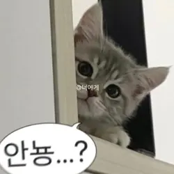 @너에게 / 있지 있지 있지
