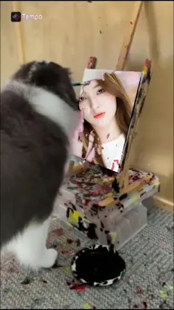 #Petlover