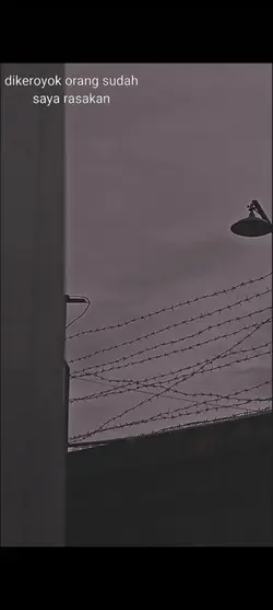 FILTER ESTETIK