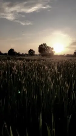 CINEMATIC FILTER