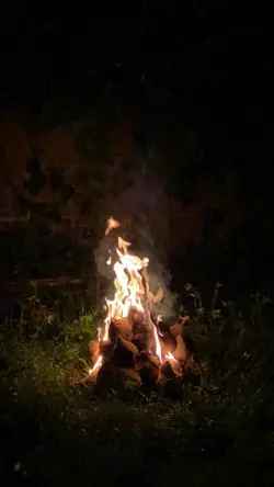 Bakar-bakar🔥