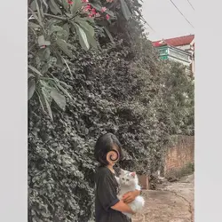 Con có ny rồi