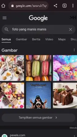 Trend search google 