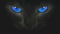 eye of the tiger