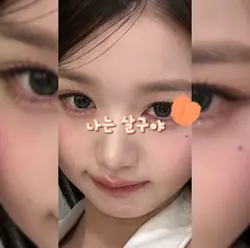 원영이의 살구송🍑