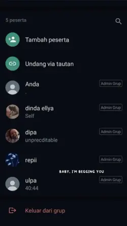 versi video chat