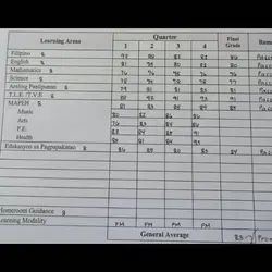grade 8 payan