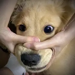 cutieee