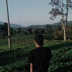 CapCut