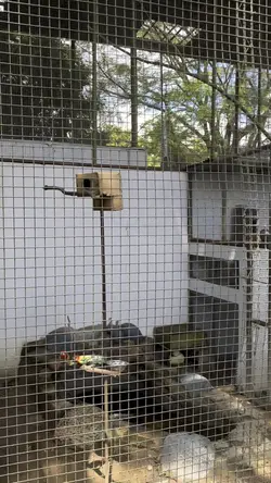 Kebun binatang vlog