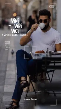 Vini Vidi Vici