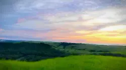 Sunrise bird whisper