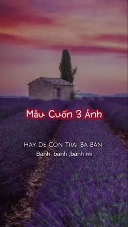 Bà bán bámh mì